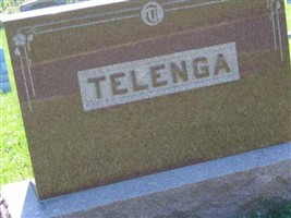 Meint H Telenga
