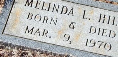 Melinda L Hill
