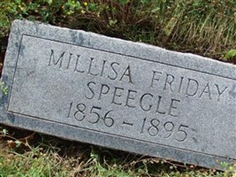 Melissa Ann Friday Speegle