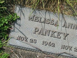 Melissa Ann Pankey Melissa Ann Pankey