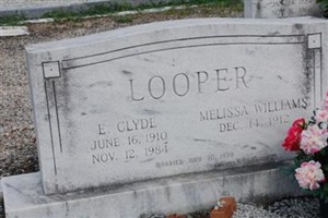 Melissa Carolyn Williams Looper Melissa Carolyn Williams Looper