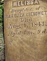 Melissa Chenoweth (1856704.jpg) Melissa Chenoweth (1856704.jpg)