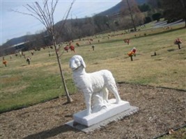 Melissa Dawn Howerton