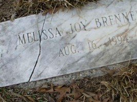 Melissa Joy Brenneman