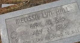 Melissa Lyn Hall Melissa Lyn Hall