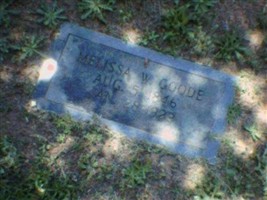 Melissa W Goode