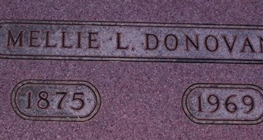 Mellie L Donovan