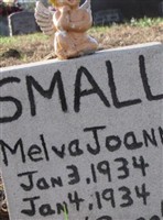 Melva Joann Small Melva Joann Small