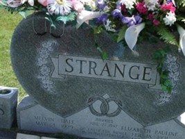 Melvin Dale Strange