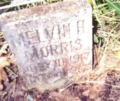 Melvin H Morris