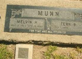 Melvin H Munn