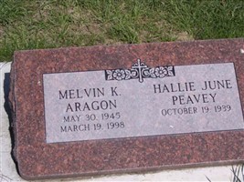 Melvin K Aragon