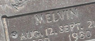 Melvin Wilkins
