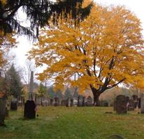 Memento Mori Cemetery