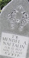 Mendel A Naftalin
