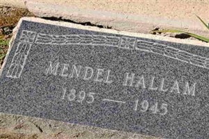 Mendel Hallam