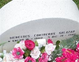 Mercedes Contreras Salazar