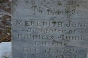 Meredith June Gillette