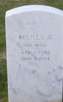 Merel E Dewing