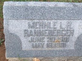 Merhle L R Ranneberger Merhle L R Ranneberger