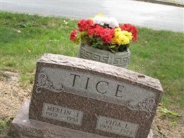 Merlin J Tice Merlin J Tice