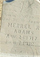 Merrel R Adams