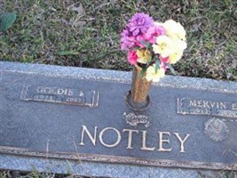 Mervin E Notley