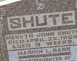 Mervyn John Shute
