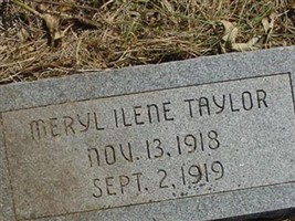 Meryl Ilene Taylor