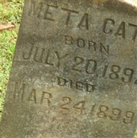 Meta Cate Meta Cate