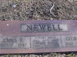 Meta Newell Meta Newell