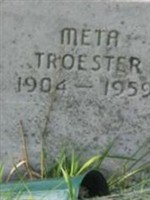 Meta Troester