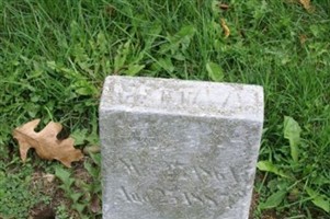 Metta Ann Selbee