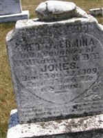 Metta Ermina Jones