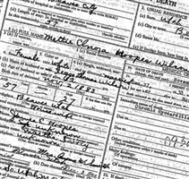 Mettie Elnora Hoopes Wilson