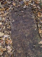 M. F. Clardy M. F. Clardy
