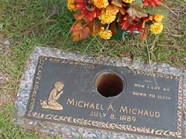 Michael A. Michaud