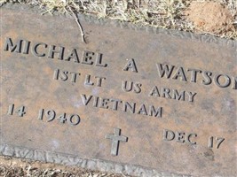 Michael A Watson