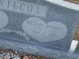 Michael Anthony Wilcox Michael Anthony Wilcox
