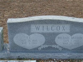 Michael Anthony Wilcox Michael Anthony Wilcox