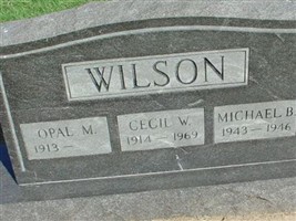 Michael B Wilson Michael B Wilson