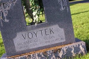 Michael C Voytek