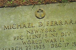 Michael D Ferrara Michael D Ferrara
