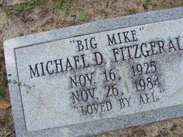 Michael D. Fitzgerald