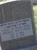 Michael David Fried