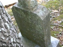 Michael Dennis Labuda