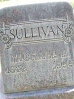 Michael E Sullivan