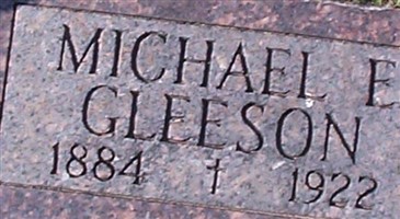 Michael Edmun Gleeson Michael Edmun Gleeson