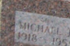 Michael F. Allen Michael F. Allen