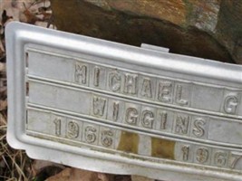 Michael Glenn Wiggins Michael Glenn Wiggins